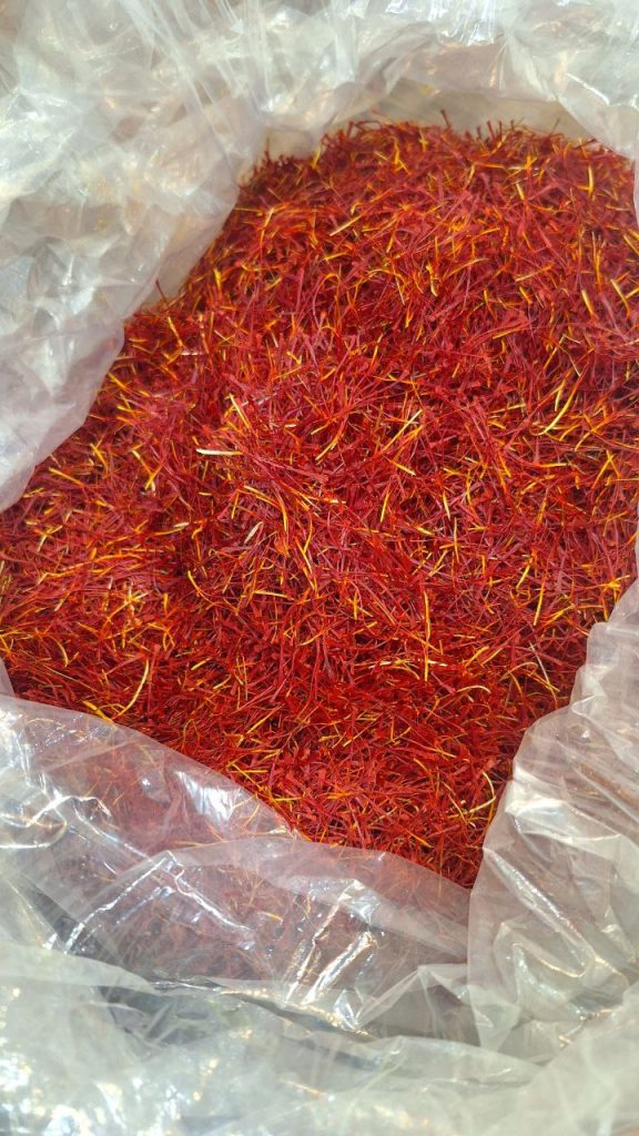  بوشال 
