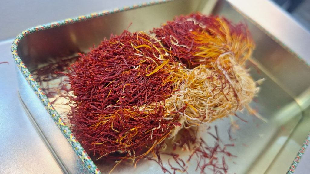 Dokhtar Pich Saffron