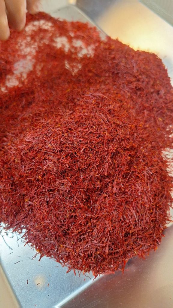 Broken Saffron