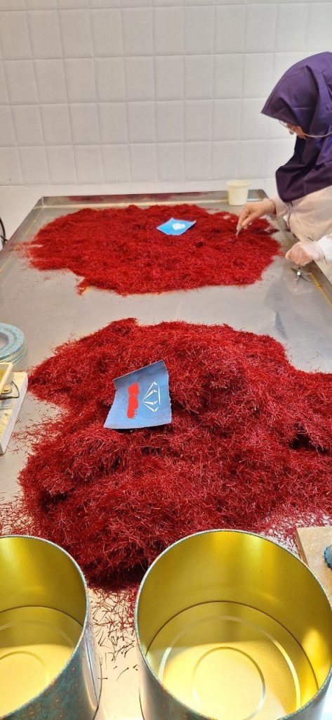 پخ چینی زعفران